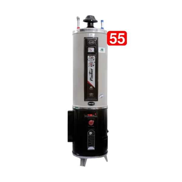 Fischer Hybrid (Electric Gas Geyser) 55 Gallon Heavy Duty